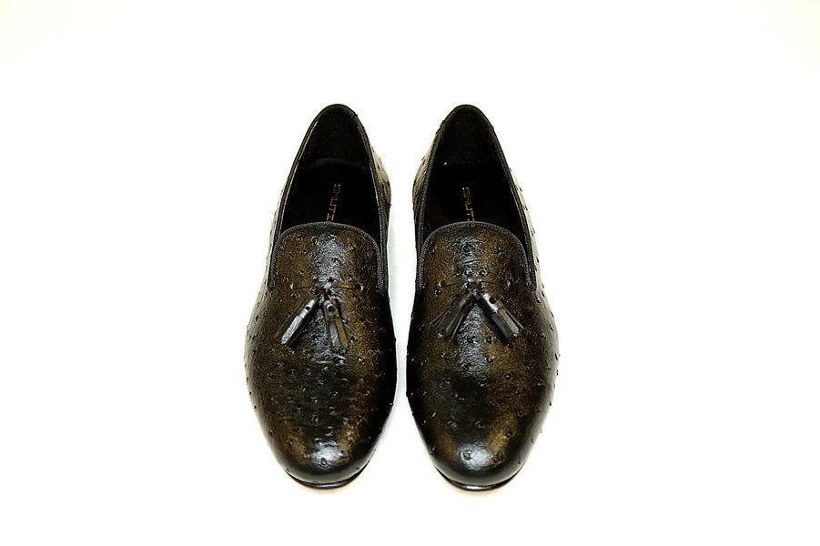 Black Ostrich